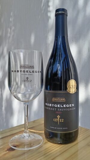 Plastic Wine Glass